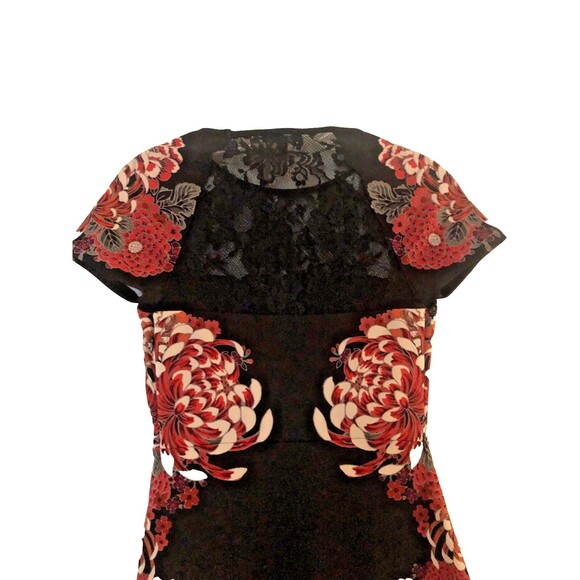 Express Dress Black Red 2  Floral Lace Bodice & Lace Back Sheath Asian Design - Picture 3 of 6